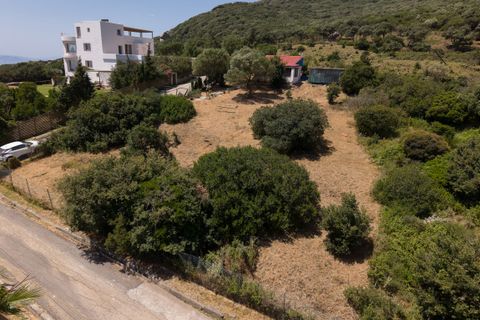 Grond in Tarifa, Cadiz, Tarifa - € 539.000 | Ref: SPCRM5021 - foto 12