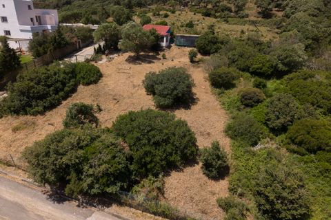 Grond in Tarifa, Cadiz, Tarifa - € 539.000 | Ref: SPCRM5021 - foto 13