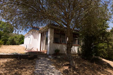 Grond in Tarifa, Cadiz, Tarifa - € 539.000 | Ref: SPCRM5021 - foto 18