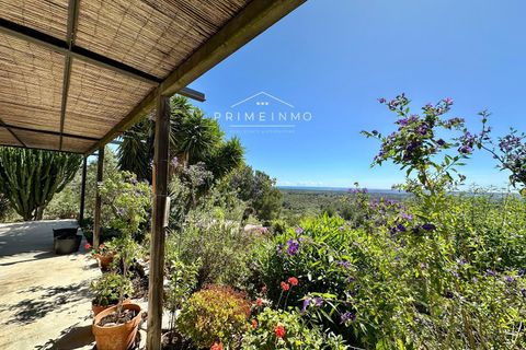 Villa i Tortosa, Tarragona, Tortosa - € 409.000 | Ref: 1169 - foto 6