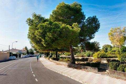 Bungalow i Torrevieja, Alicante, Torrevieja - € 129.999 | Ref: 778190 - foto 40