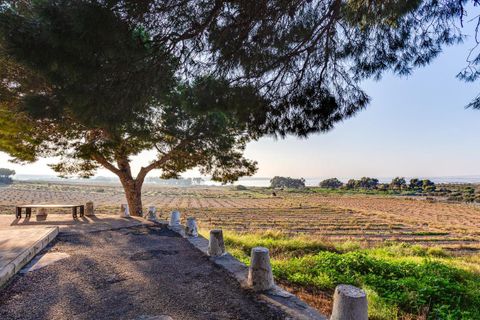 Bungalow i Torrevieja, Alicante, Torrevieja - € 129.999 | Ref: 778190 - foto 41