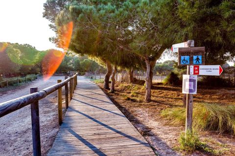 Bungalow i Torrevieja, Alicante, Torrevieja - € 129.999 | Ref: 778190 - foto 42