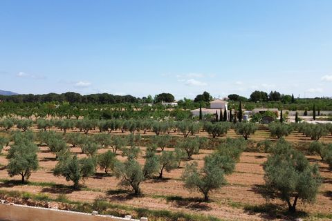 Villa i Pinoso, Alicante, Pinoso - € 420.000 | Ref: AMAM-JOSMIP - foto 36