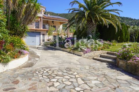 Villa i Pau, Gerona, Pau - € 680.000 | Ref: 536 - foto 6
