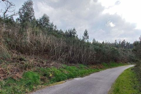 Byhus i Vouzela, Viseu, Vouzela - € 24.900 | Ref: 852653 - foto 21