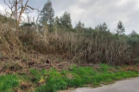 Byhus i Vouzela, Viseu, Vouzela - € 24.900 | Ref: 852653 - foto 22