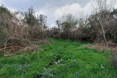 Byhus i Vouzela, Viseu, Vouzela - € 24.900 | Ref: 852653 - foto 26