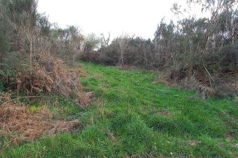 Byhus i Vouzela, Viseu, Vouzela - € 24.900 | Ref: 852653 - foto 27