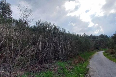Byhus i Vouzela, Viseu, Vouzela - € 24.900 | Ref: 852653 - foto 29