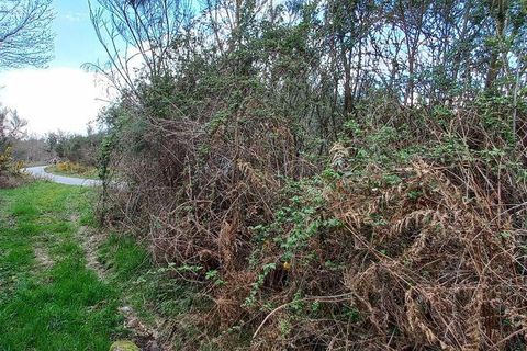 Byhus i Vouzela, Viseu, Vouzela - € 24.900 | Ref: 852653 - foto 32