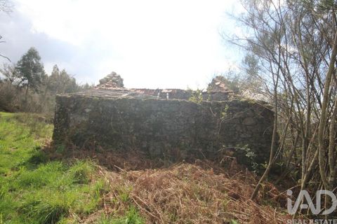 Byhus i Vouzela, Viseu, Vouzela - € 24.900 | Ref: 852653 - foto 34