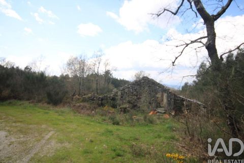 Byhus i Vouzela, Viseu, Vouzela - € 24.900 | Ref: 852653 - foto 35