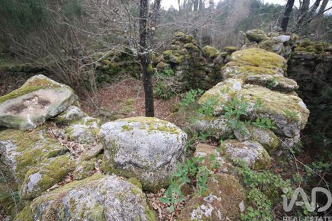 Byhus i Vouzela, Viseu, Vouzela - € 24.900 | Ref: 852653 - foto 36