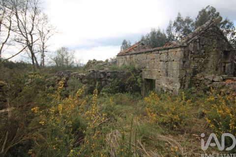 Byhus i Vouzela, Viseu, Vouzela - € 24.900 | Ref: 852653 - foto 37