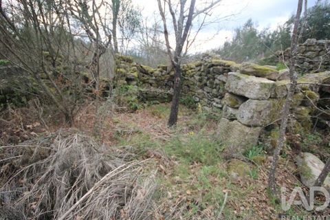 Byhus i Vouzela, Viseu, Vouzela - € 24.900 | Ref: 852653 - foto 38