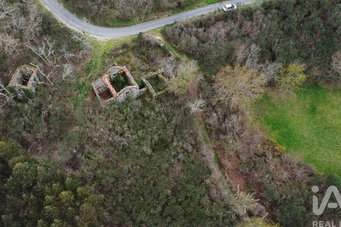 Byhus i Vouzela, Viseu, Vouzela - € 24.900 | Ref: 852653 - foto 7