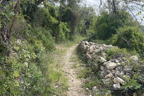 Helårsgrund i Faro, Faro, Faro - € 199.000 | Ref: 888782 - foto 3