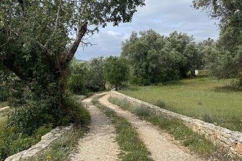 Helårsgrund i Faro, Faro, Faro - € 199.000 | Ref: 888782 - foto 4