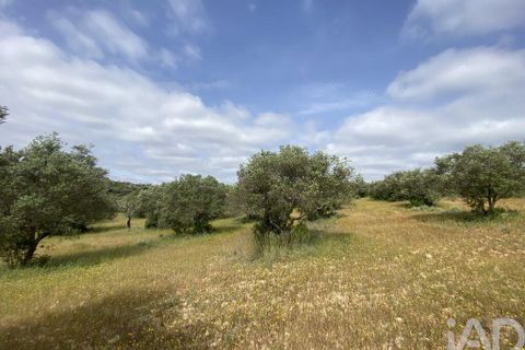 Helårsgrund i Faro, Faro, Faro - € 199.000 | Ref: 888782 - foto 6