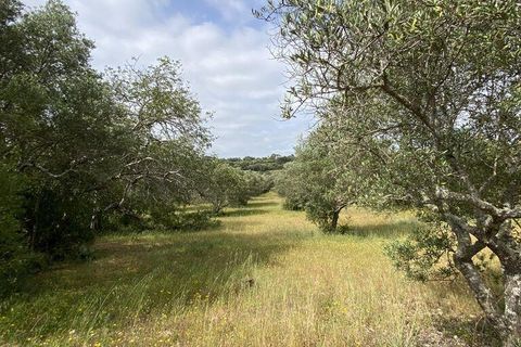 Helårsgrund i Faro, Faro, Faro - € 199.000 | Ref: 888782 - foto 7