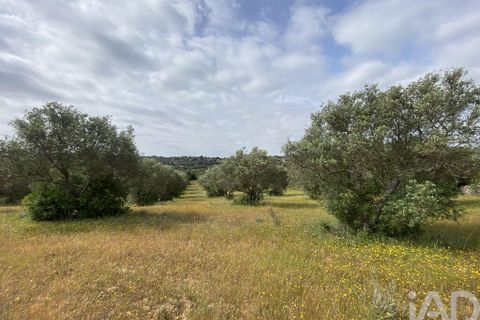 Helårsgrund i Faro, Faro, Faro - € 199.000 | Ref: 888782 - foto 9