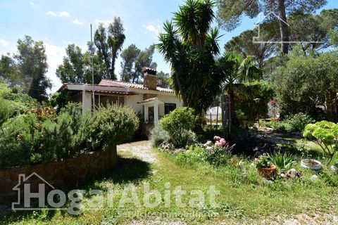 Villa a Gandia, Valencia, Gandia - € 289.000 | Ref: 090OLI289.FPV-A/3716 - foto 4