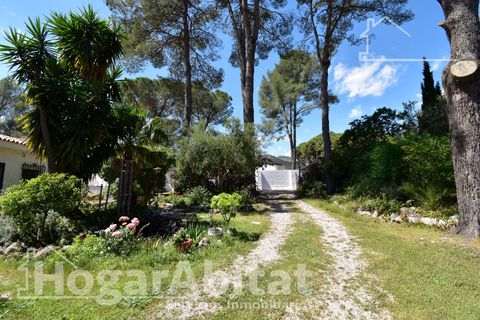 Villa a Gandia, Valencia, Gandia - € 289.000 | Ref: 090OLI289.FPV-A/3716 - foto 46