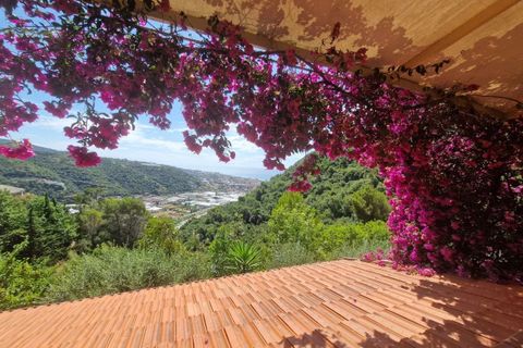 Villa a Camporosso, Imperia, Camporosso - € 600.000 | Ref: 86415123 - foto 20