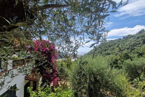 Villa a Camporosso, Imperia, Camporosso - € 600.000 | Ref: 86415123 - foto 26