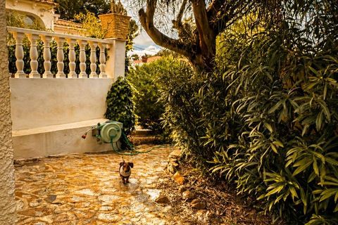 Helårsgrund i Albir, Alicante, Albir - € 2.500.000 | Ref: 5458 C - foto 14