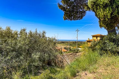 Leilighet i Casale Marittimo, Pisa, Casale Marittimo - € 230 000 | Ref: C753 - foto 4