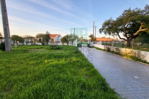 Villa i Gloria do Ribatejo, Santarem, Gloria do Ribatejo - € 365.000 | Ref: CAS_4259 - foto 5