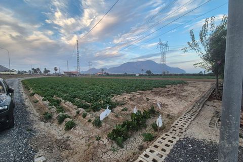 Villa i Orihuela, Alicante, Orihuela - € 330.000 | Ref: SS00-583J - foto 36