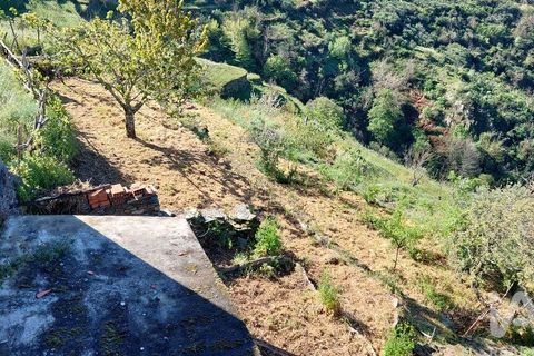 Byhus i Arganil, Coimbra, Arganil - € 27.000 | Ref: 880712 - foto 6