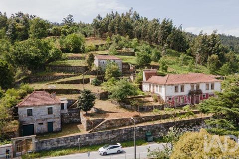 Farm i Cinfaes, Viseu, Cinfaes - € 300.000 | Ref: 873608 - foto 4