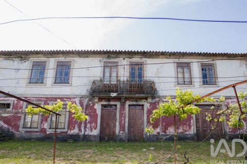 Farm i Cinfaes, Viseu, Cinfaes - € 300.000 | Ref: 873608 - foto 11