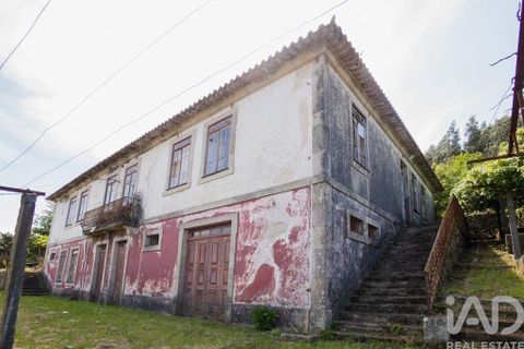 Farm i Cinfaes, Viseu, Cinfaes - € 300.000 | Ref: 873608 - foto 13