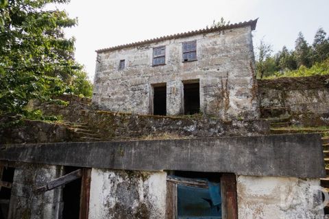 Farm i Cinfaes, Viseu, Cinfaes - € 300.000 | Ref: 873608 - foto 14