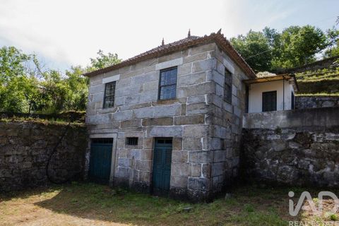 Farm i Cinfaes, Viseu, Cinfaes - € 300.000 | Ref: 873608 - foto 16