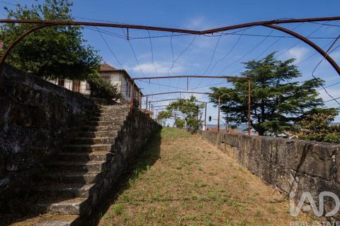 Farm i Cinfaes, Viseu, Cinfaes - € 300.000 | Ref: 873608 - foto 17
