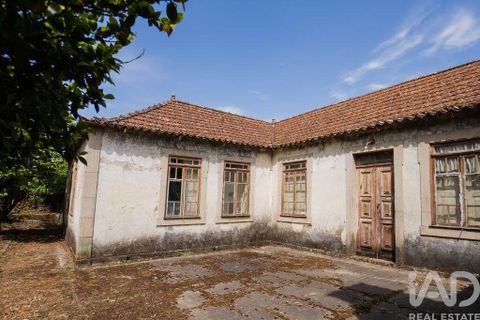 Farm i Cinfaes, Viseu, Cinfaes - € 300.000 | Ref: 873608 - foto 18