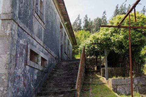 Farm i Cinfaes, Viseu, Cinfaes - € 300.000 | Ref: 873608 - foto 19