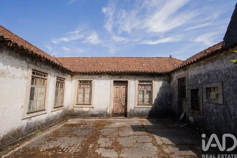 Farm i Cinfaes, Viseu, Cinfaes - € 300.000 | Ref: 873608 - foto 21