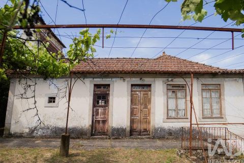 Farm i Cinfaes, Viseu, Cinfaes - € 300.000 | Ref: 873608 - foto 22