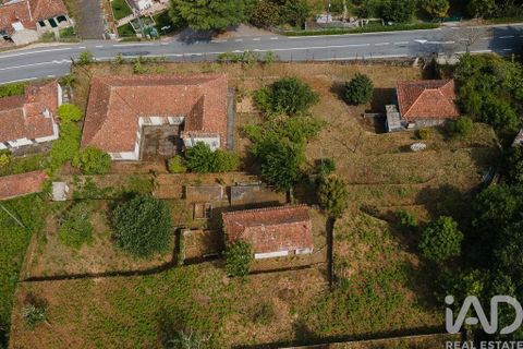 Farm i Cinfaes, Viseu, Cinfaes - € 300.000 | Ref: 873608 - foto 23