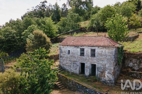 Farm i Cinfaes, Viseu, Cinfaes - € 300.000 | Ref: 873608 - foto 24