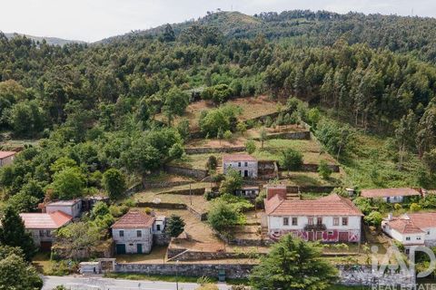 Farm i Cinfaes, Viseu, Cinfaes - € 300.000 | Ref: 873608 - foto 26