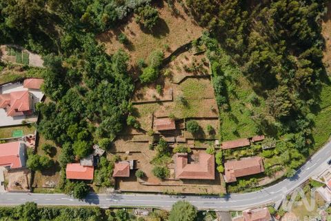 Farm i Cinfaes, Viseu, Cinfaes - € 300.000 | Ref: 873608 - foto 27