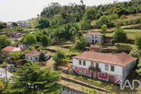 Farm i Cinfaes, Viseu, Cinfaes - € 300.000 | Ref: 873608 - foto 28